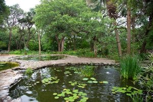 laguna gloria and mayfield park and nature preserve